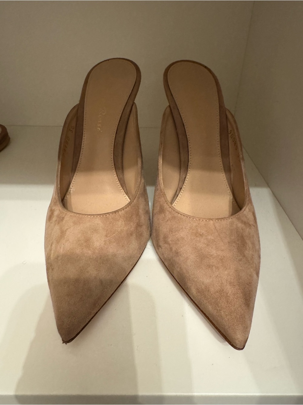 Gianvito Rossi Pointed-Toe Suede Mules in Tan